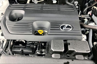 2025 Lexus NX 250 Premium