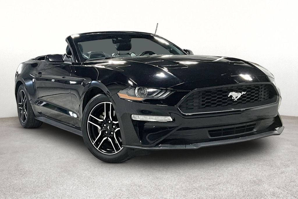 2023 Ford Mustang EcoBoost Premium Convertible's photo