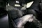 2024 Chevrolet Tahoe 2WD RST