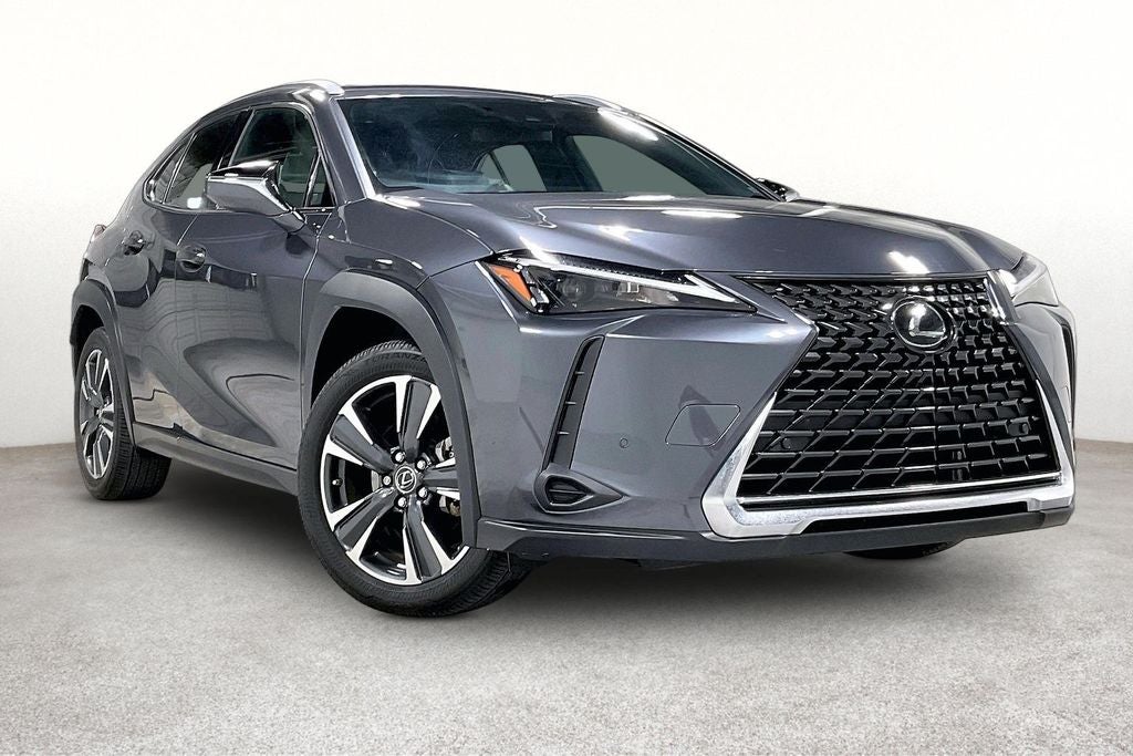 2024 Lexus UX 300h 250h's photo